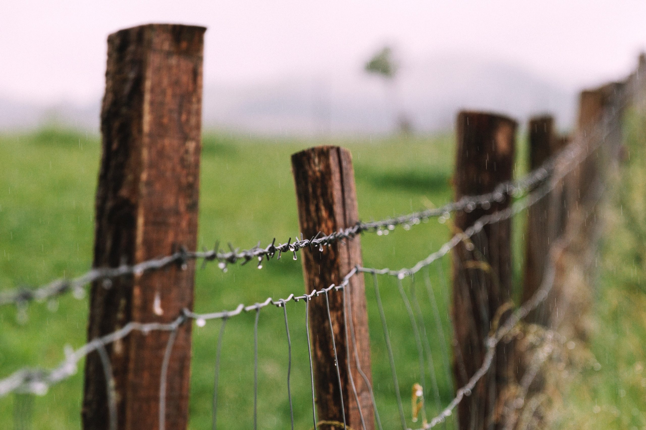 wooden fence posts with barbed wire