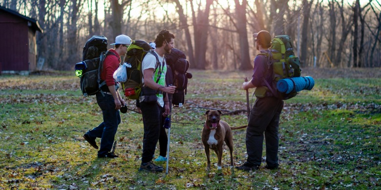 Things to Do When Camping With Dogs