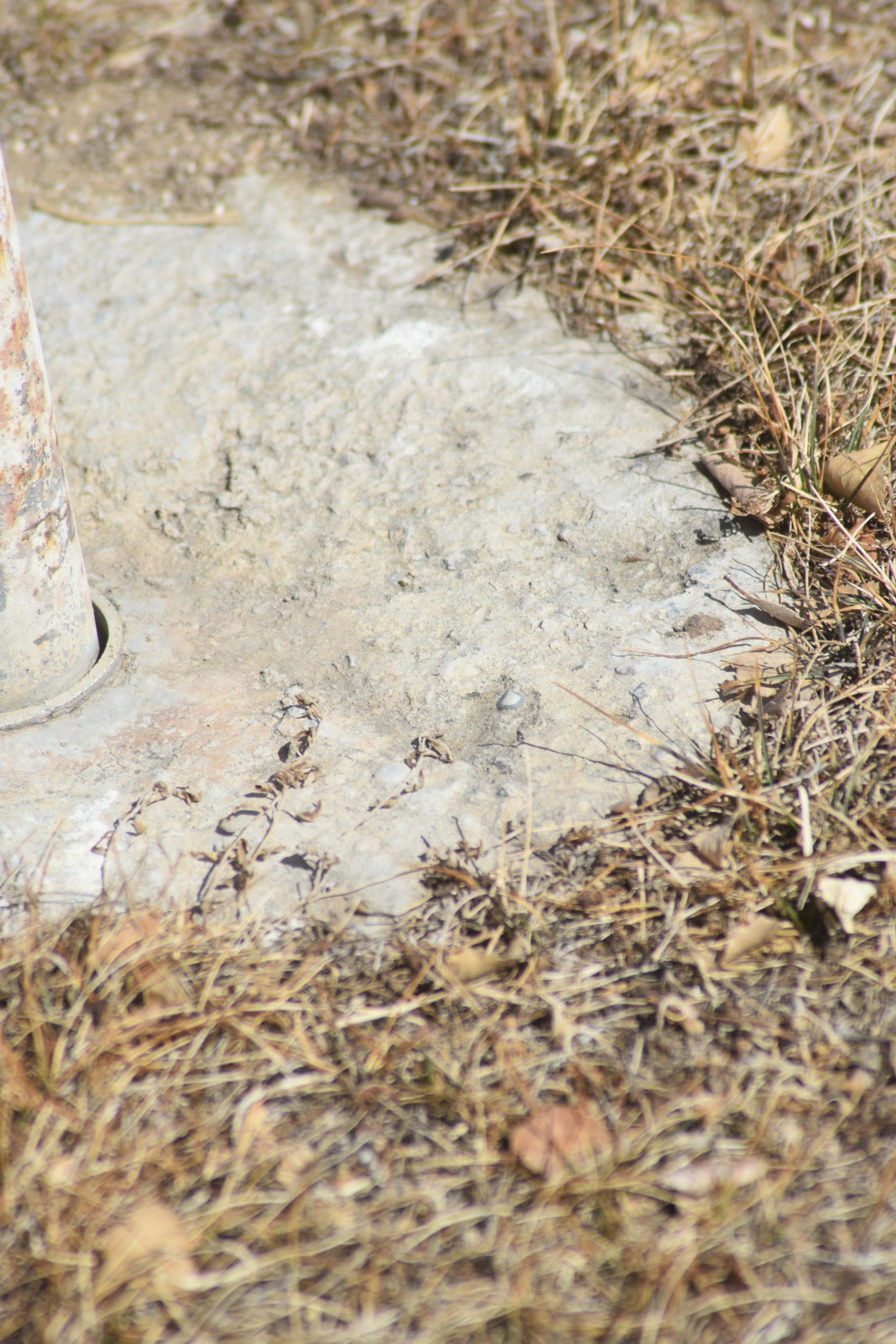 flagpole concrete