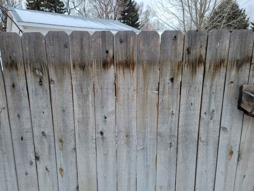 Cedar fence renew