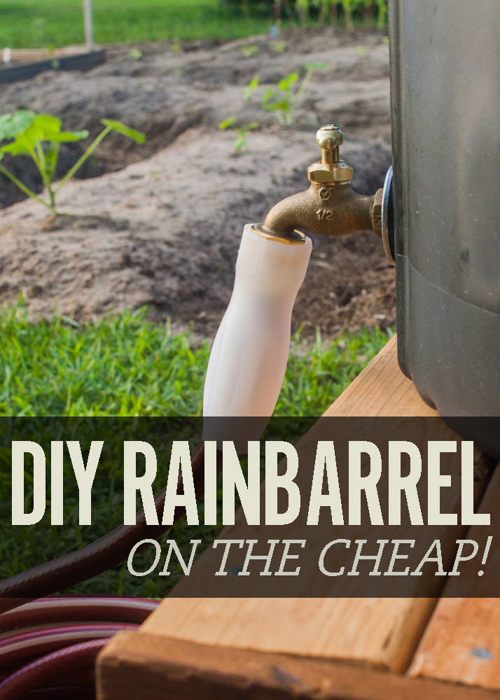 DIY rain barrel cover image