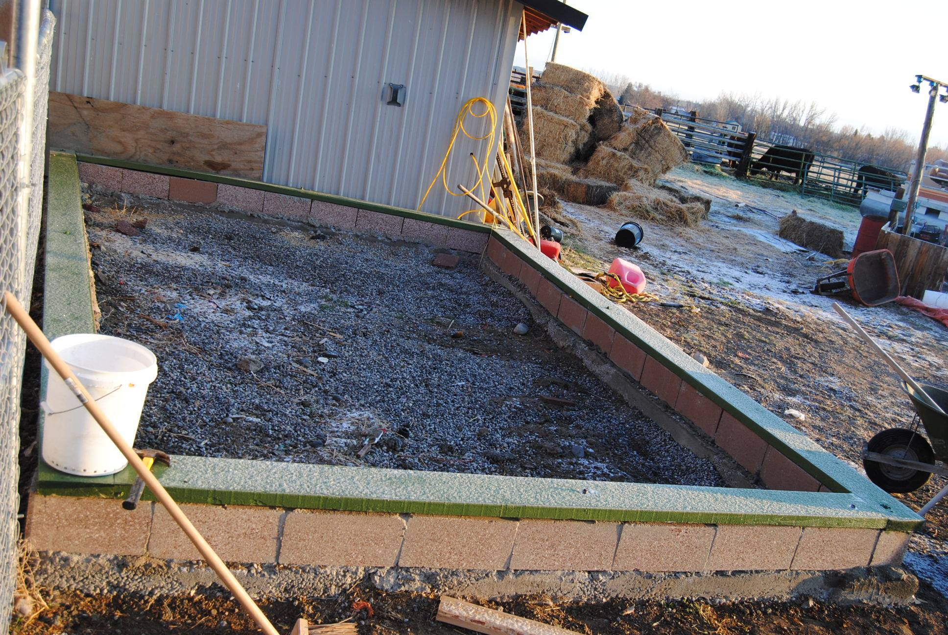 greenhouse garden plants starter seedlings