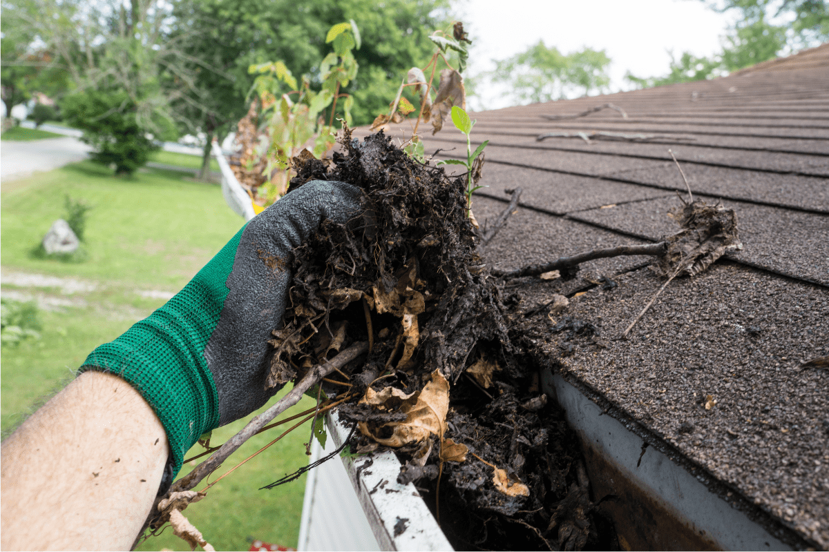 green glove hand cleaning out gutter full of leaves roof