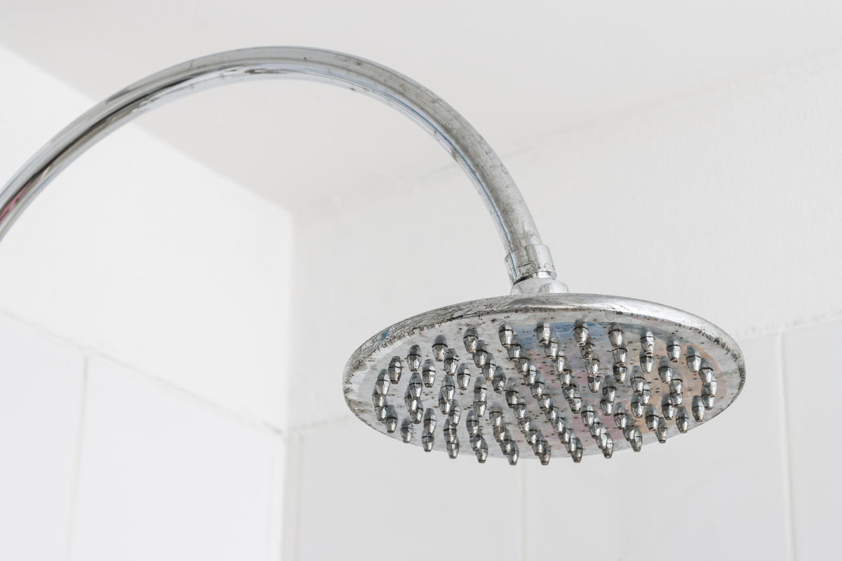 close up of chrome rainfall shower head