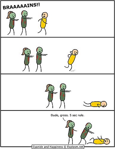 zombify: wikipedia “5 sec rules” The five second rule is a popular polite fiction regarding the eating of food that has fallen to the floor or ground. The origins of the rule are unknown. The substance of the rule is that if food falls on the ground, it may be safely eaten as long as it is picked up within five seconds.