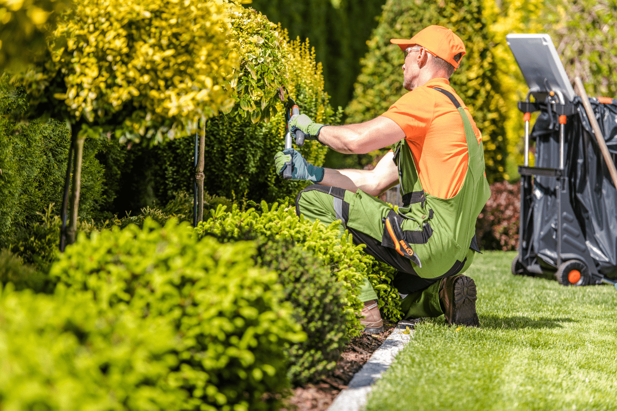 landscaper in green overalls trimming bushes 