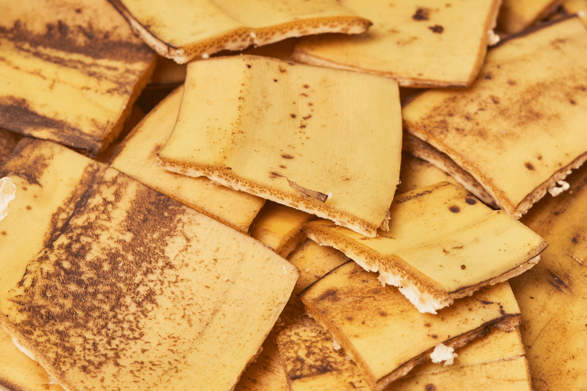 pile of cut banana peels close up