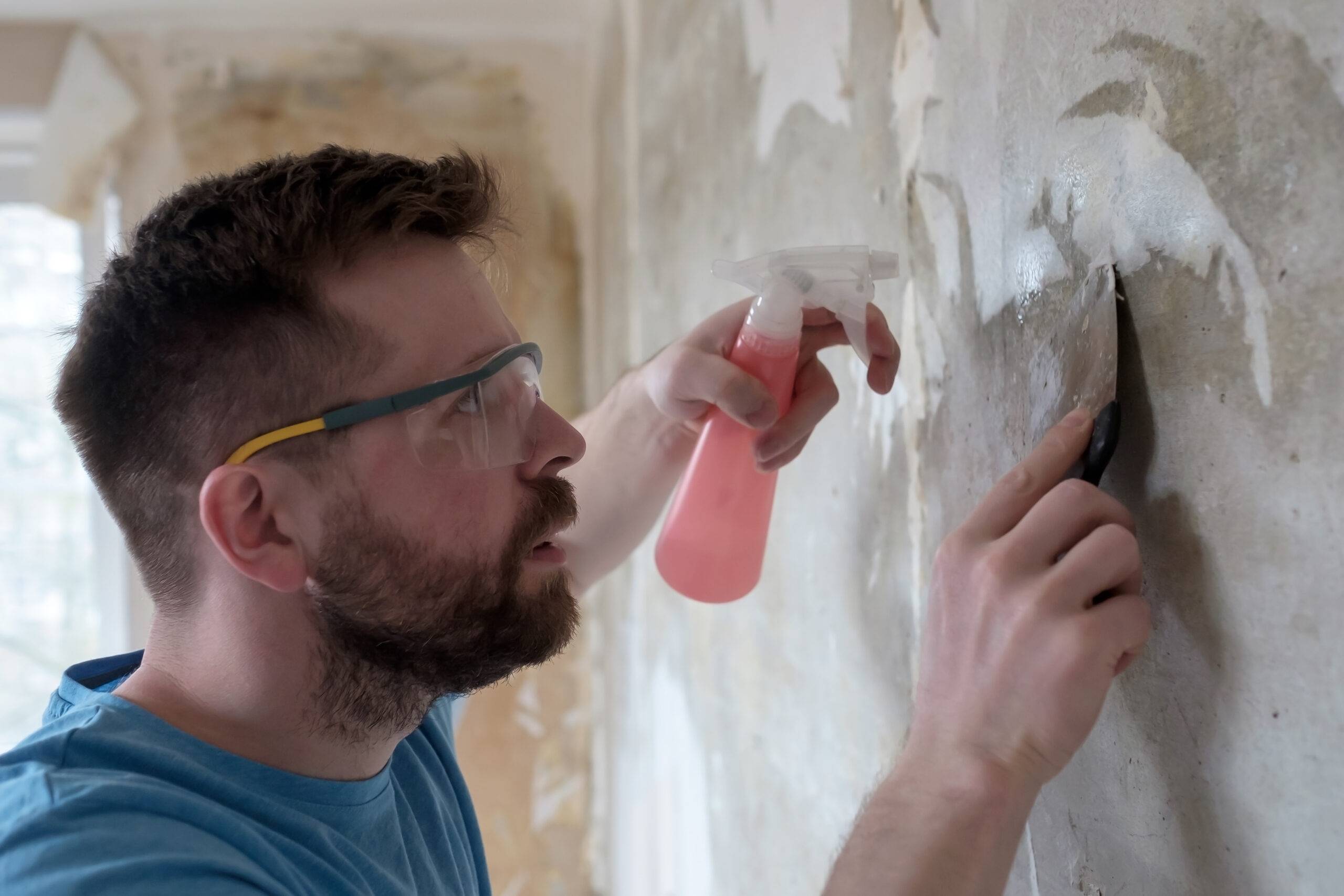 Home repairs. Focused man removes the old wallpaper from the wall with a spatula and a pulverizer with water.