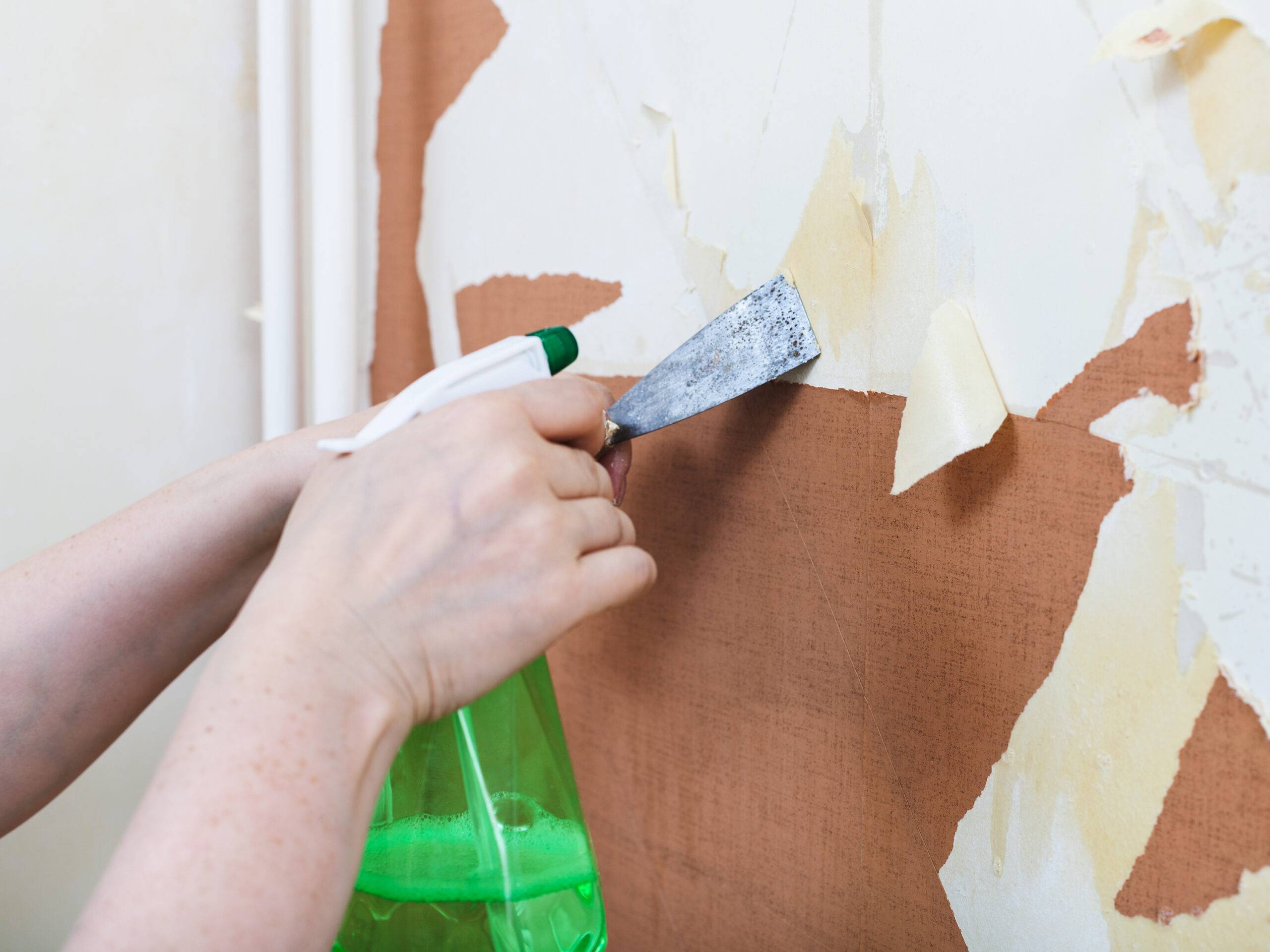 renovation of apartment, wallpapering: preparation of walls. Removing of old wallpaper from wall with chemical liquid stripper