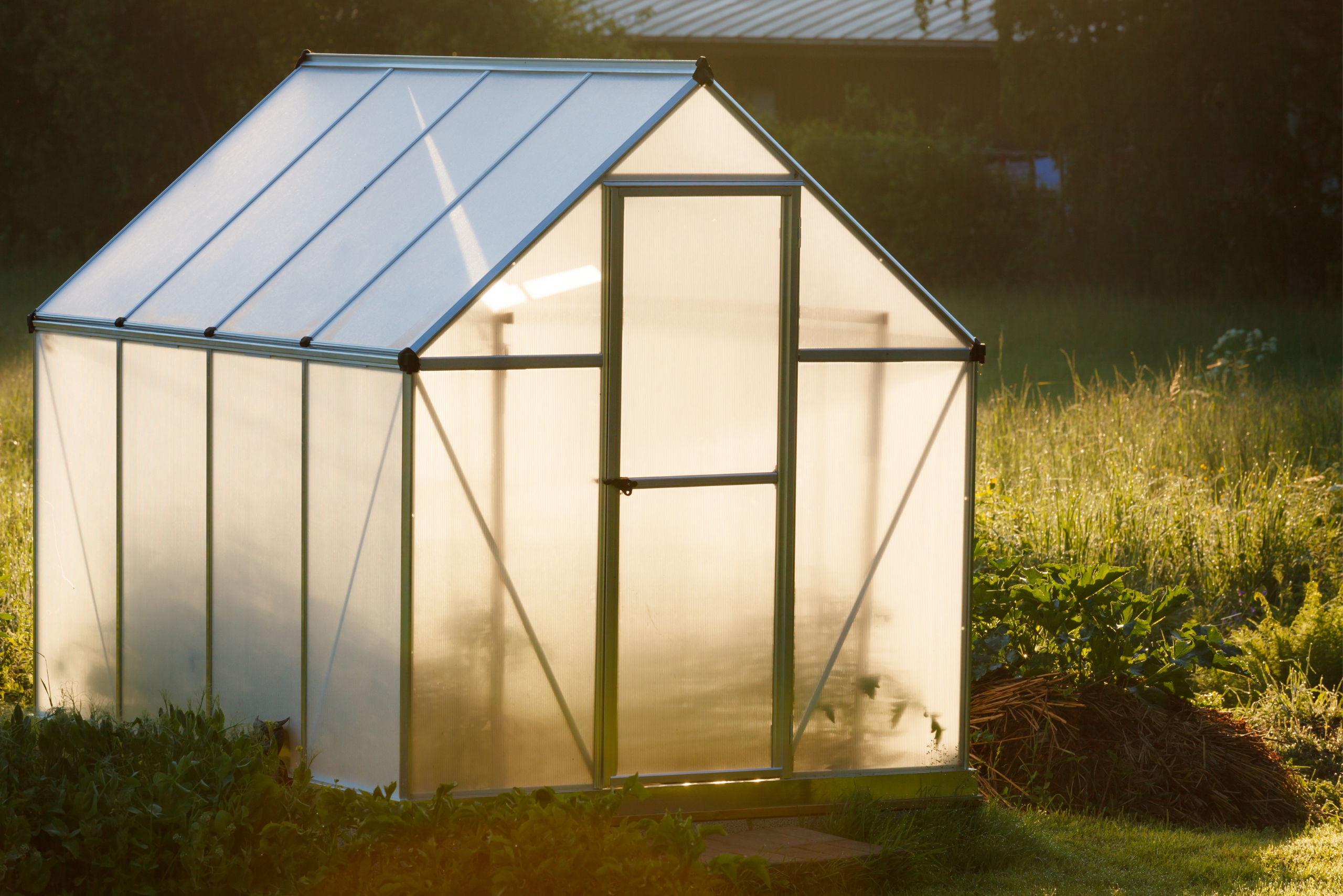 Greenhouse surrounded by grass.