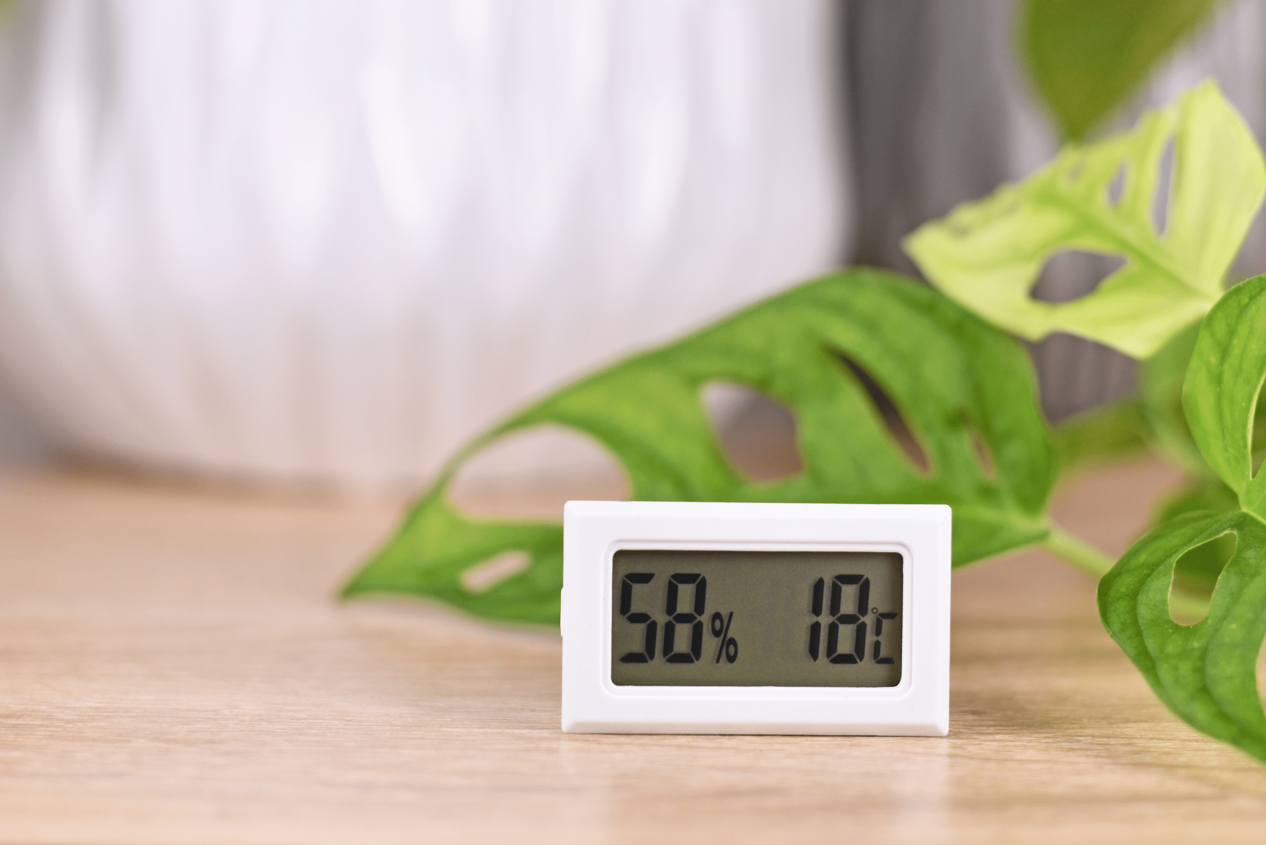 Room humidity and temperature display.