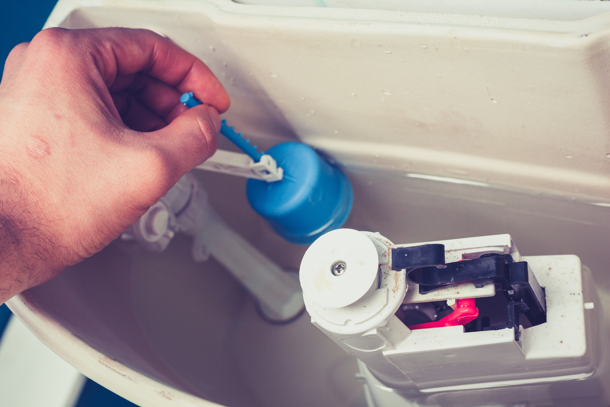 Inside of a toilet bowl plunger with plastic chain.