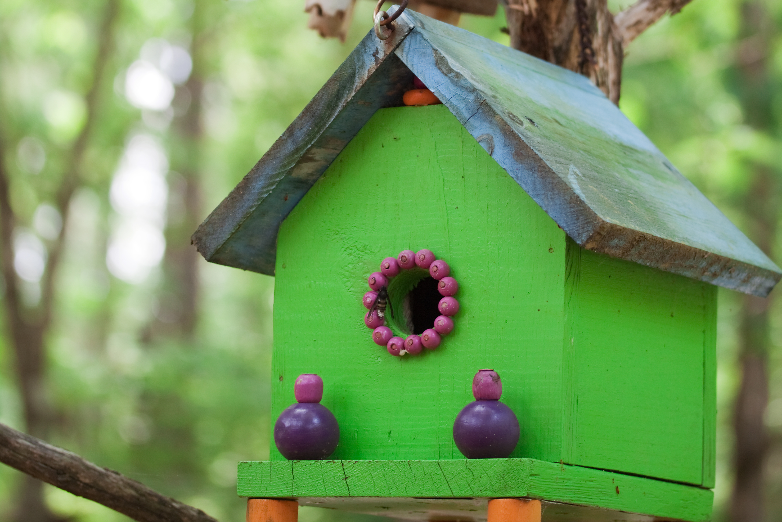 Green birdhouse with circular entrance.