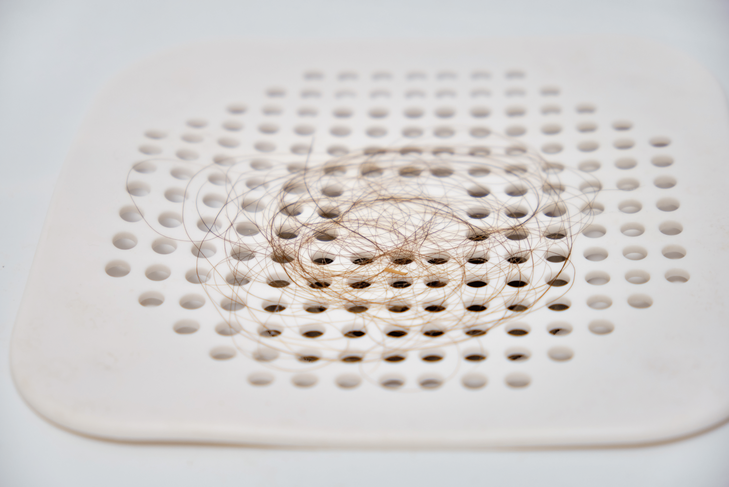 Closeup of bathtub drain hair catcher.