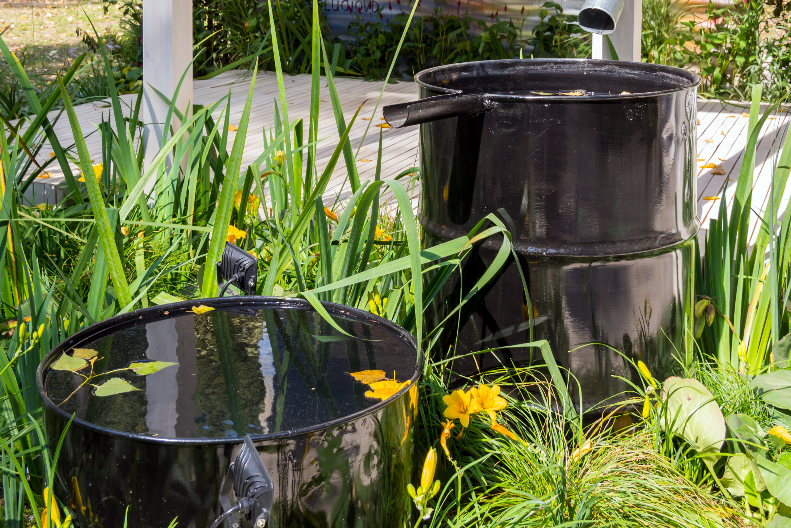 Black metal rain barrel system that feeds water into the barrels.